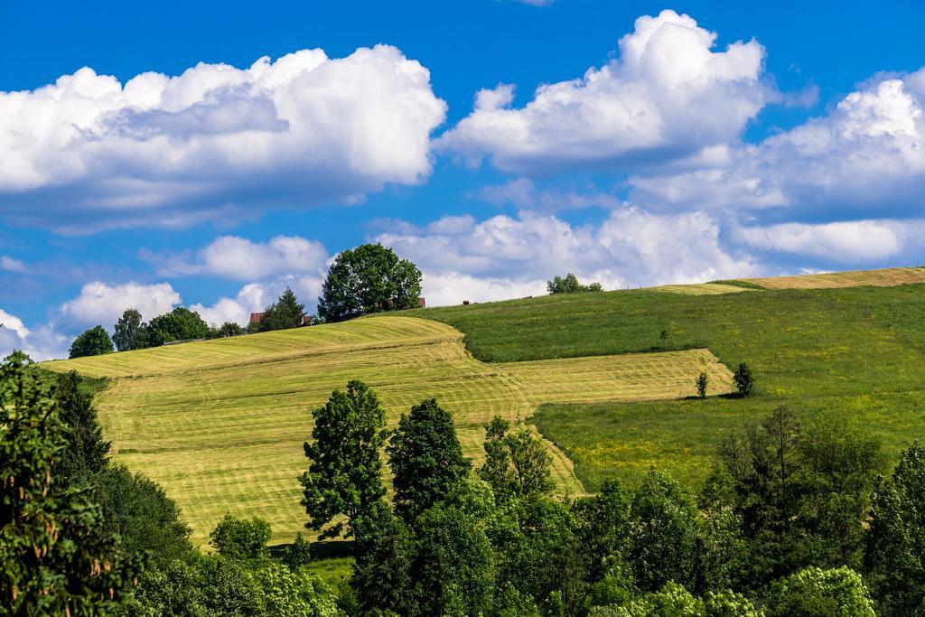 Chata Na Brzysku Pod Bialka Leśnica Exterior foto