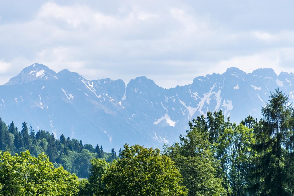 Chata Na Brzysku Pod Bialka Leśnica Exterior foto